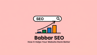 Logo Babbar SEO