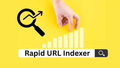 SEO Agency Rapid URL Indexer